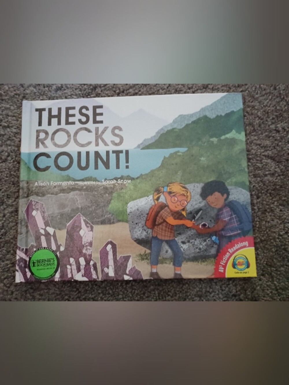 These Rocks Count! Kids Picture Book